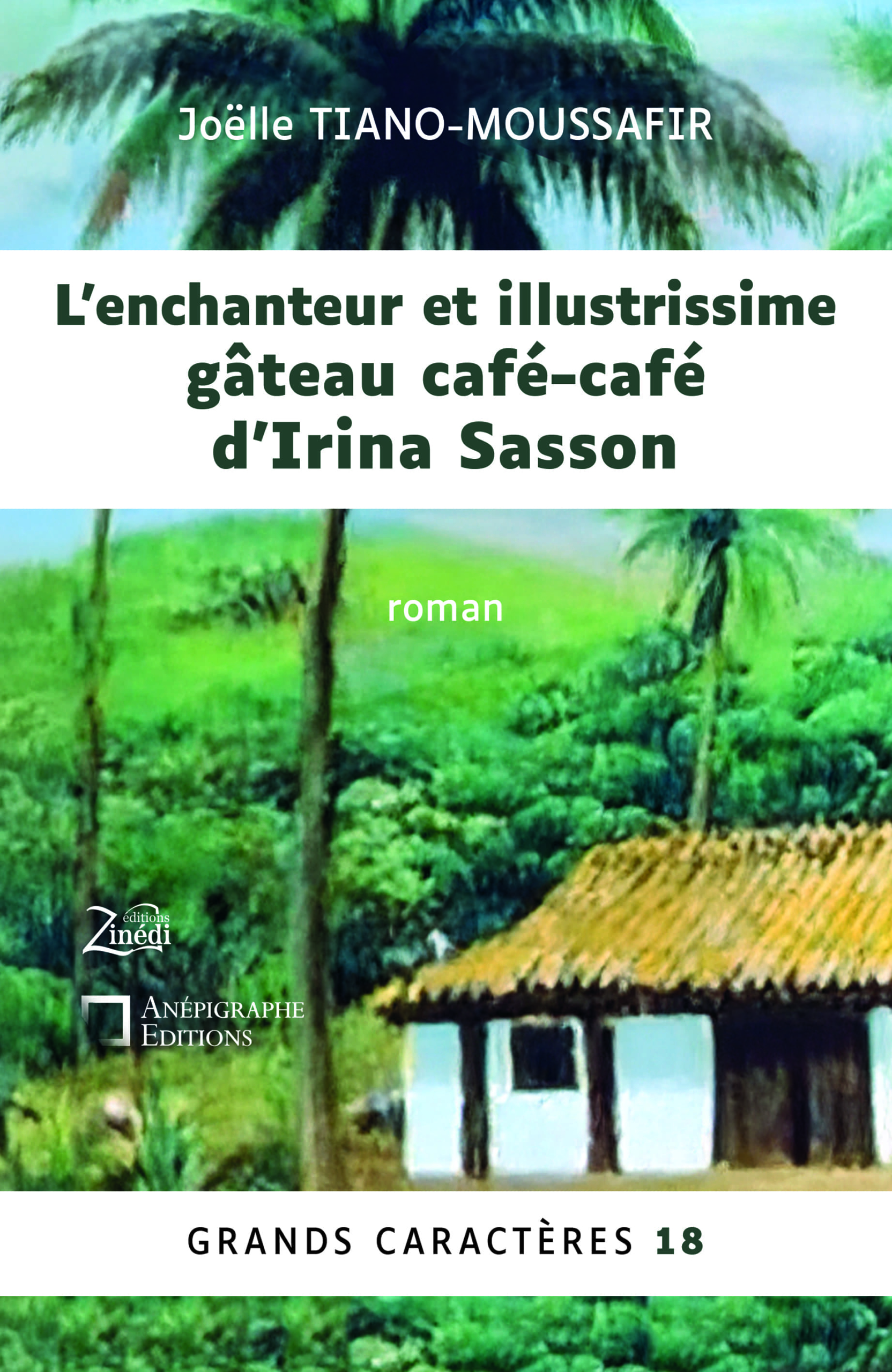 Couverture de livre : L'enchanteur et illustrissime gâteau café-café D'Irina Sasson